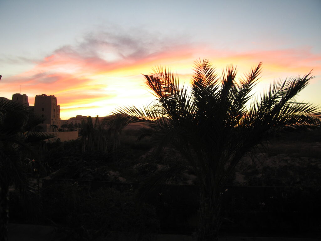 2009-01-14 (1)