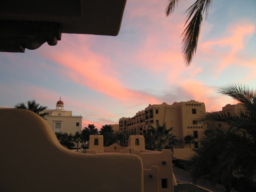 2009-01-14 (28)