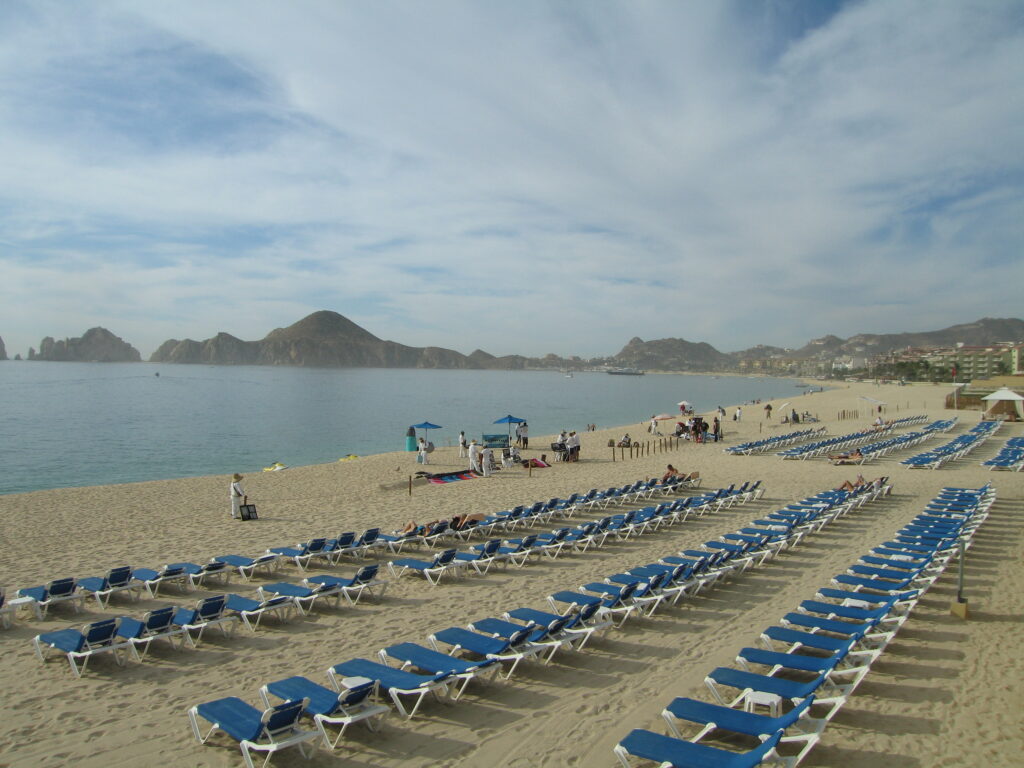 2009-01-14 (6)