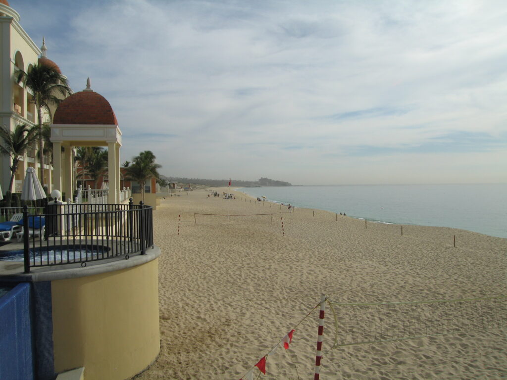 2009-01-14 (7)
