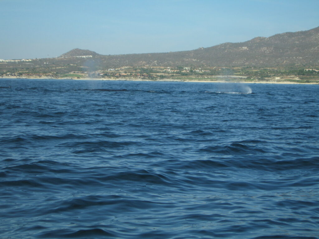 2009-01-17 (29)