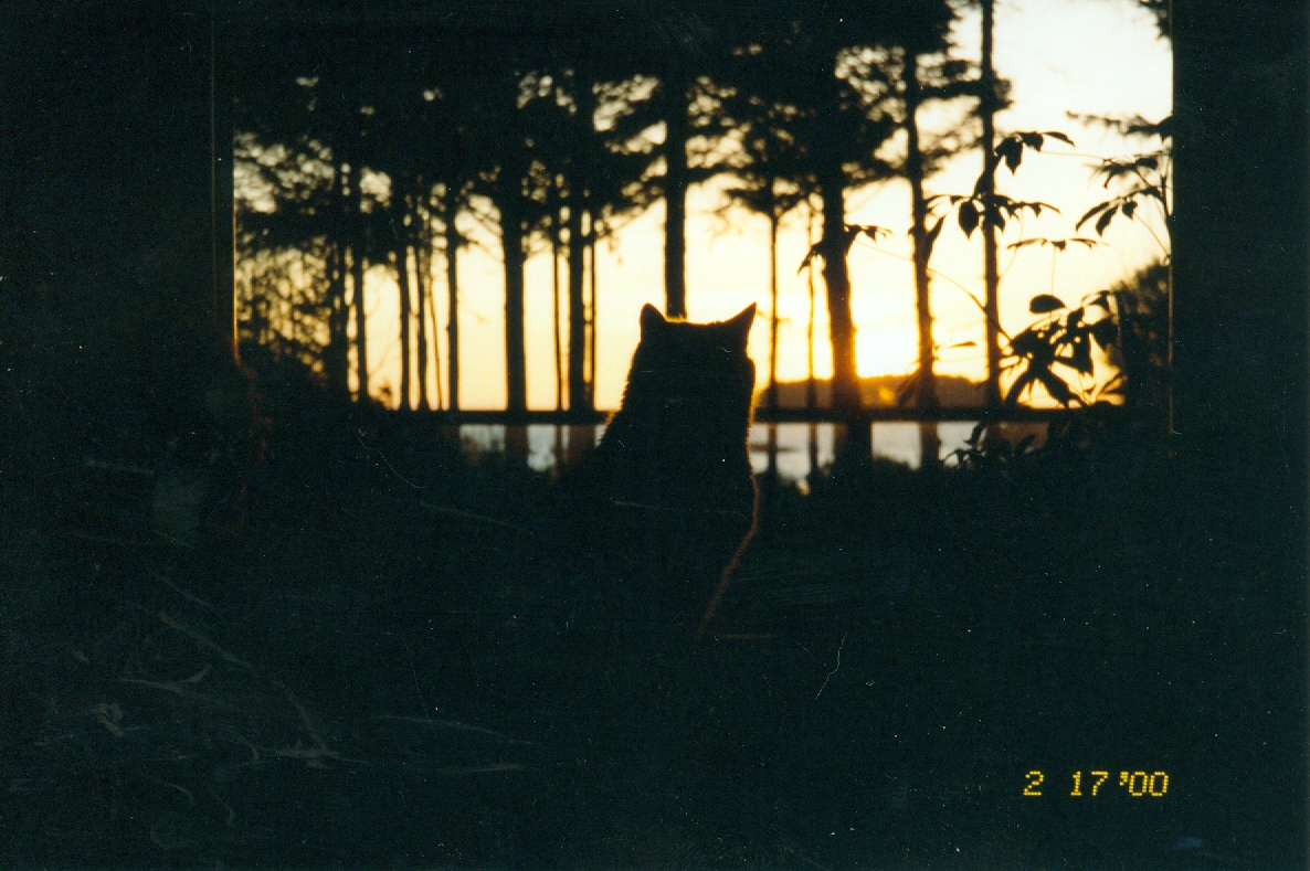 2000-02-17_003