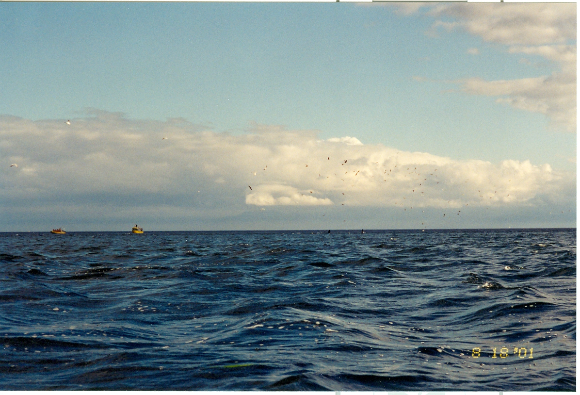 2001-08-18_001