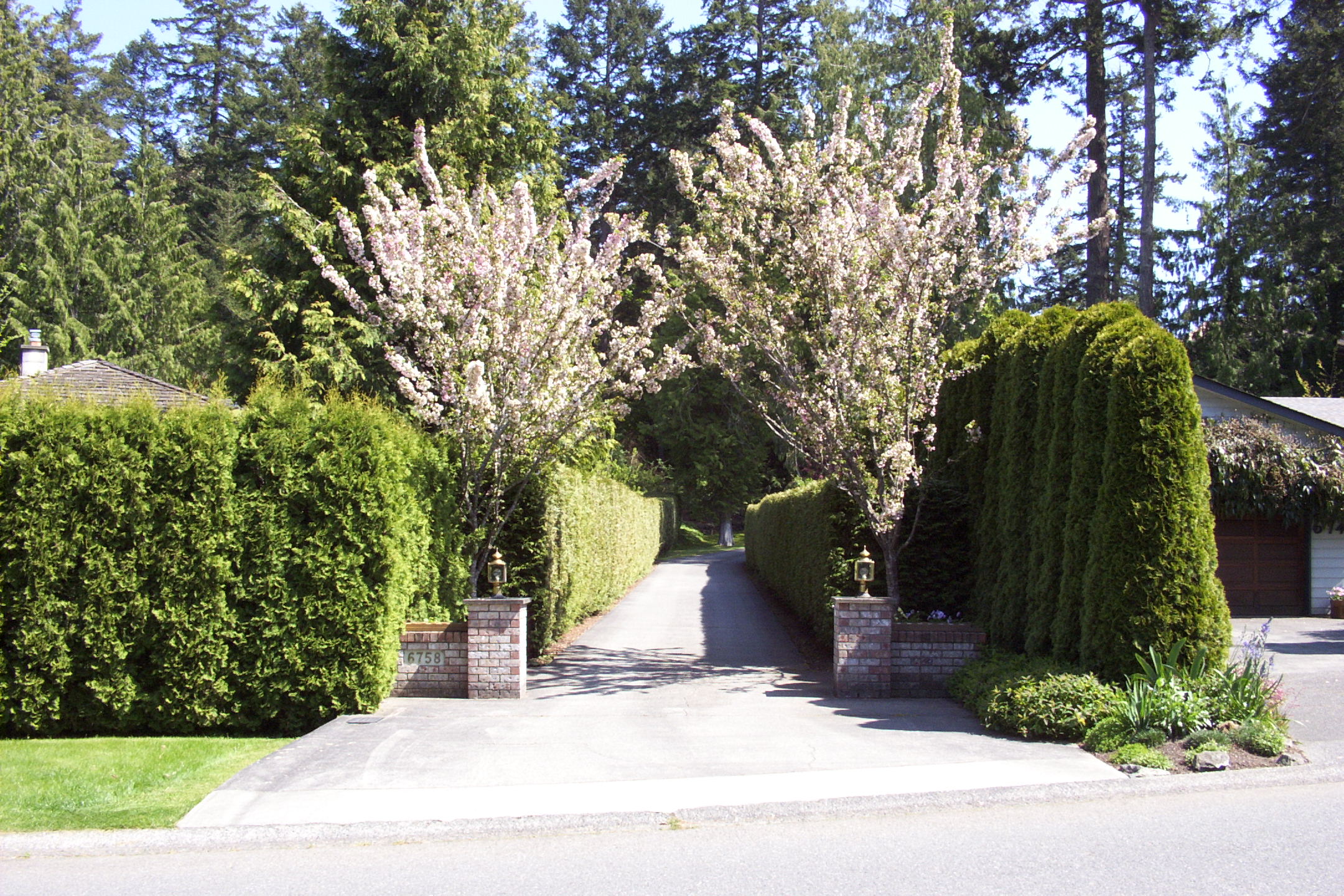 2003-05-26 (3)