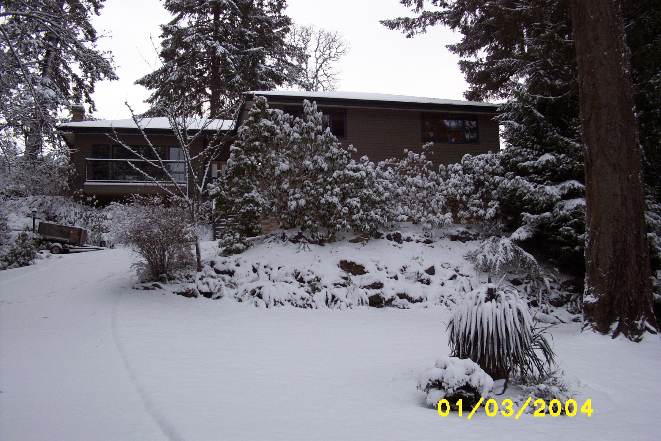 2004-01-03 (8)