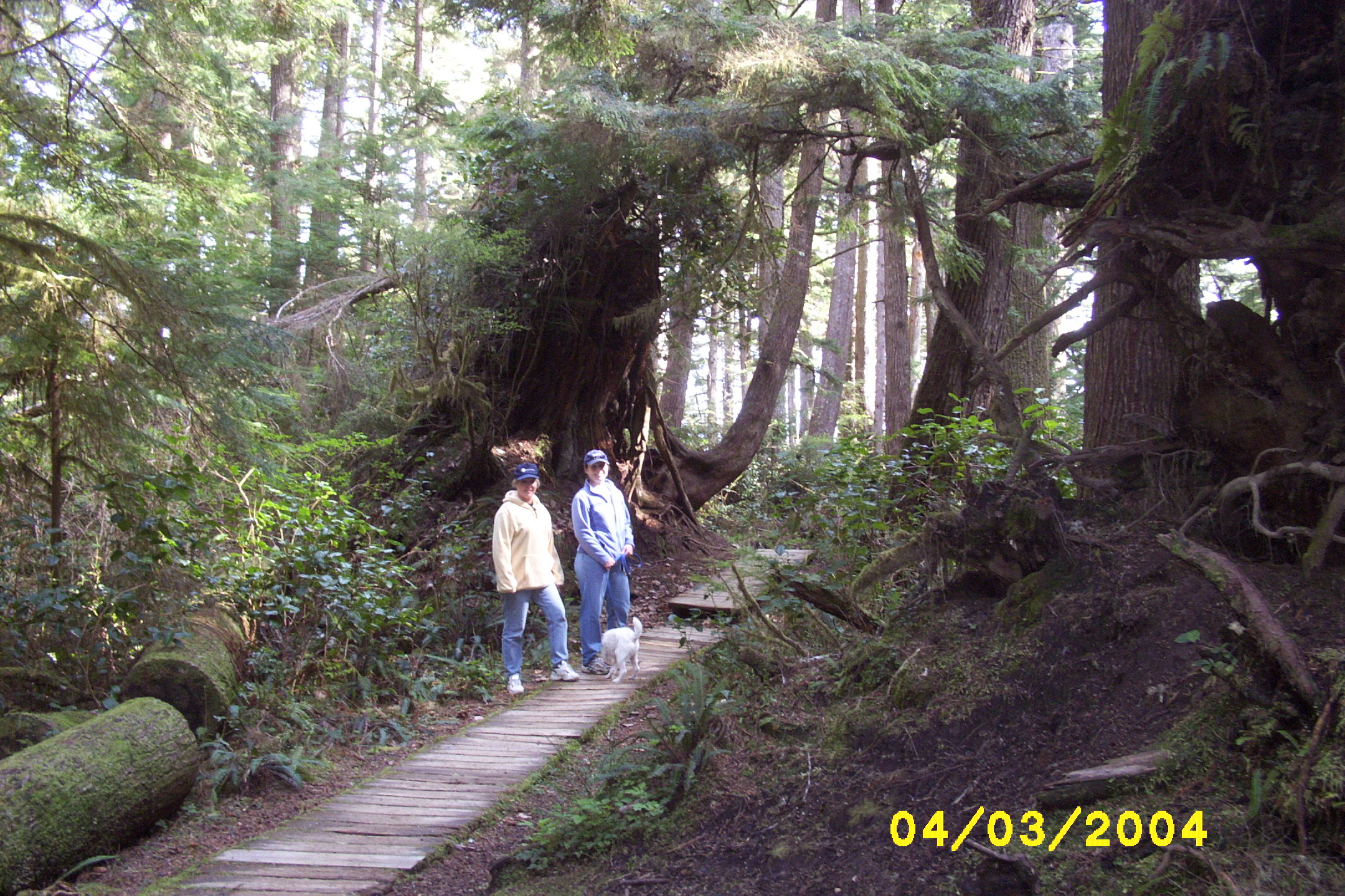 2004-04-03 (2)