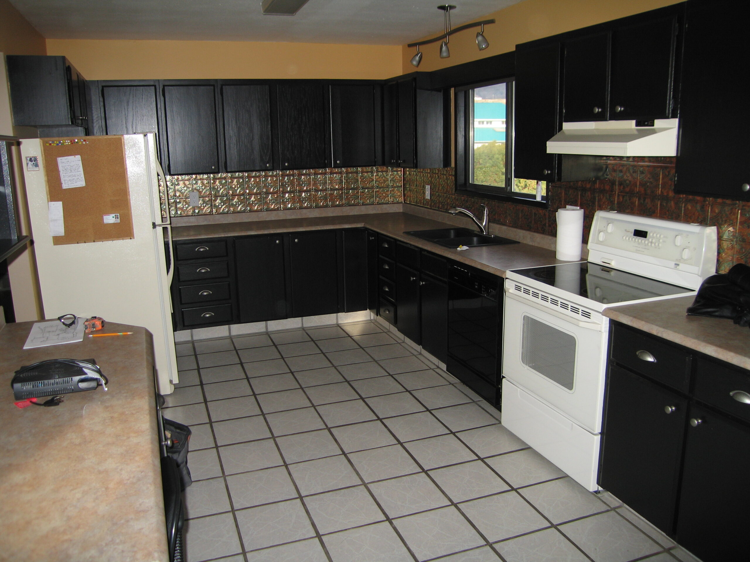 2008-03-03 (224)