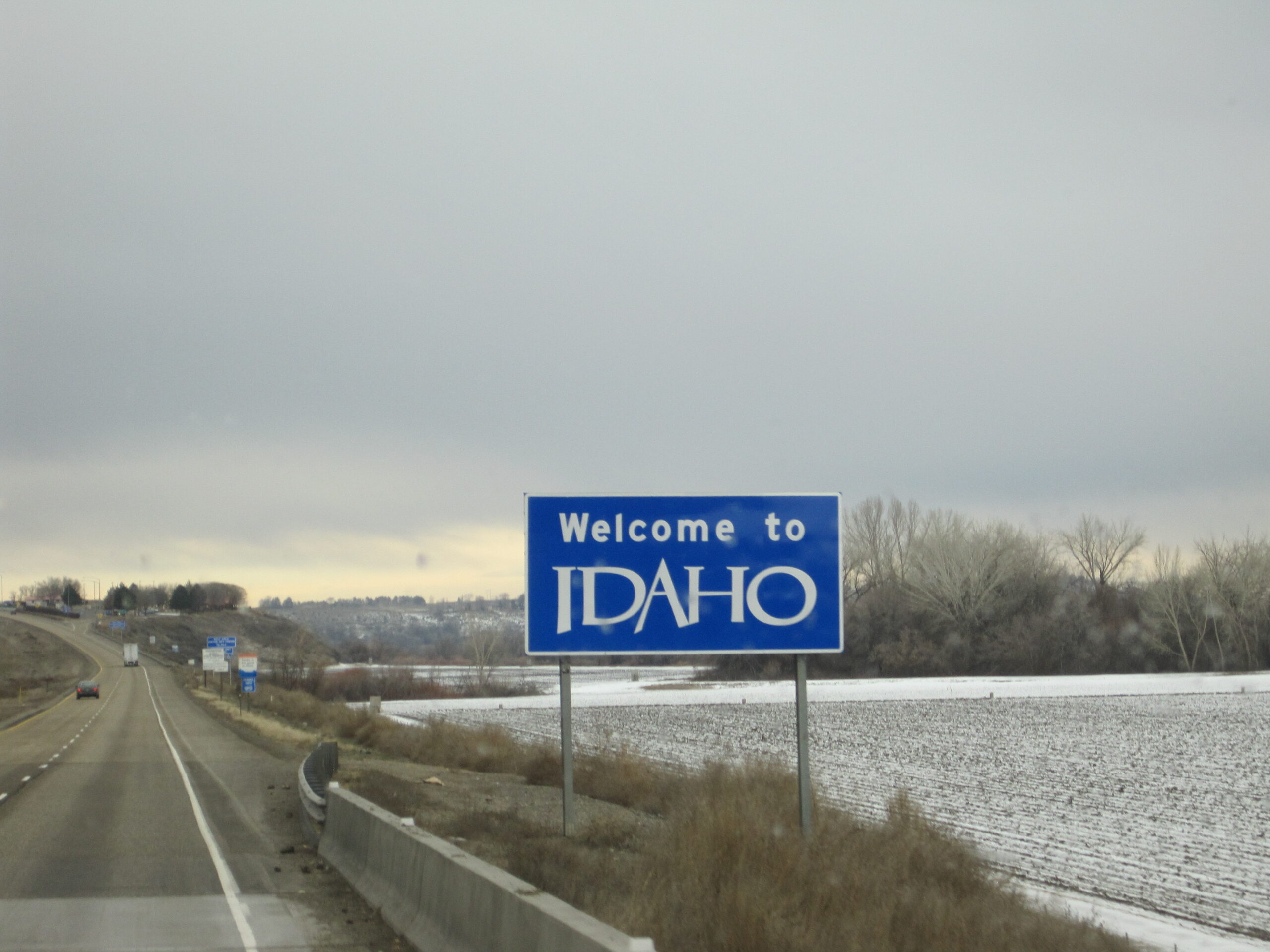 2010-01-12 (26)