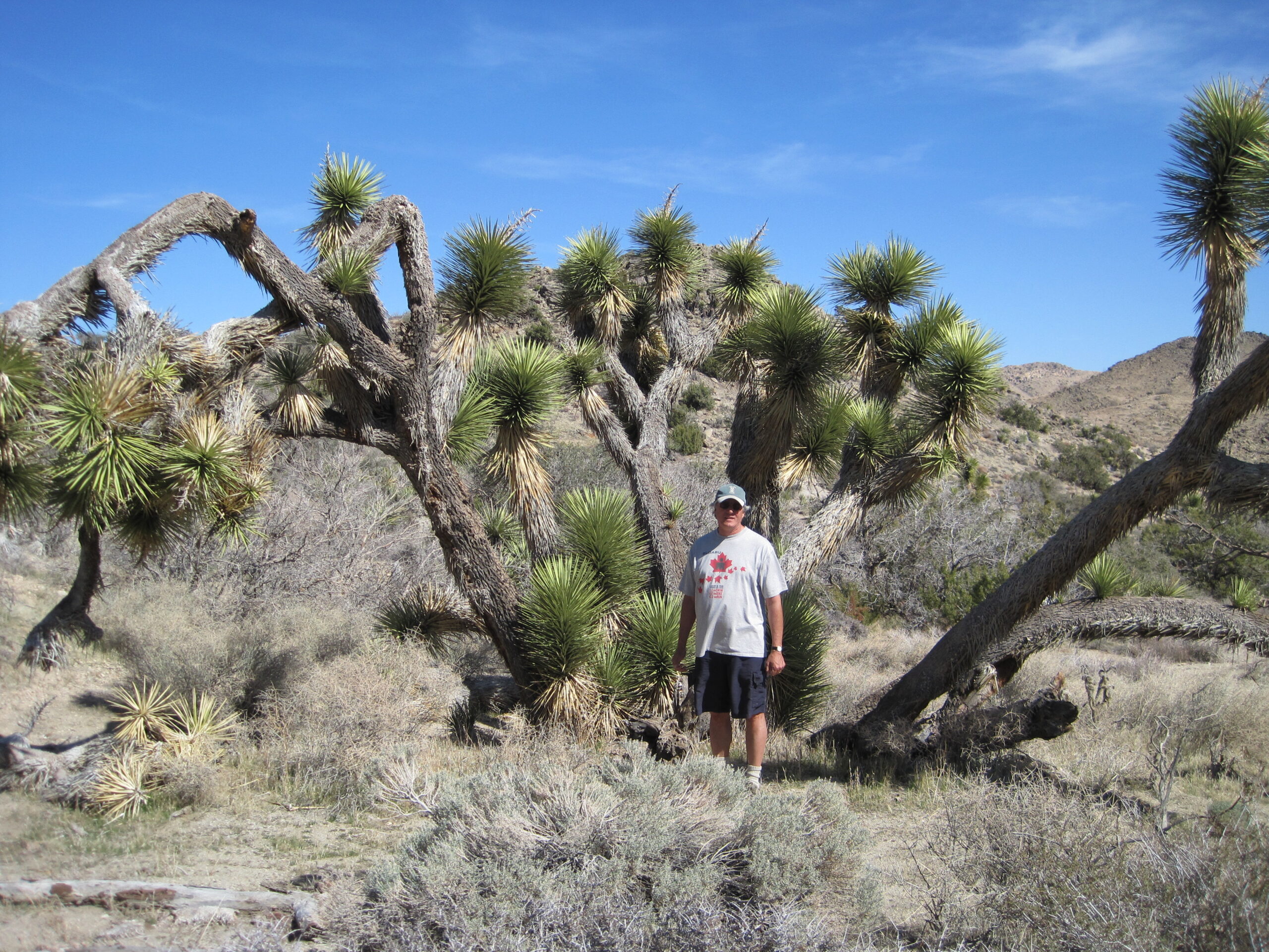 2010-02-18 (6)