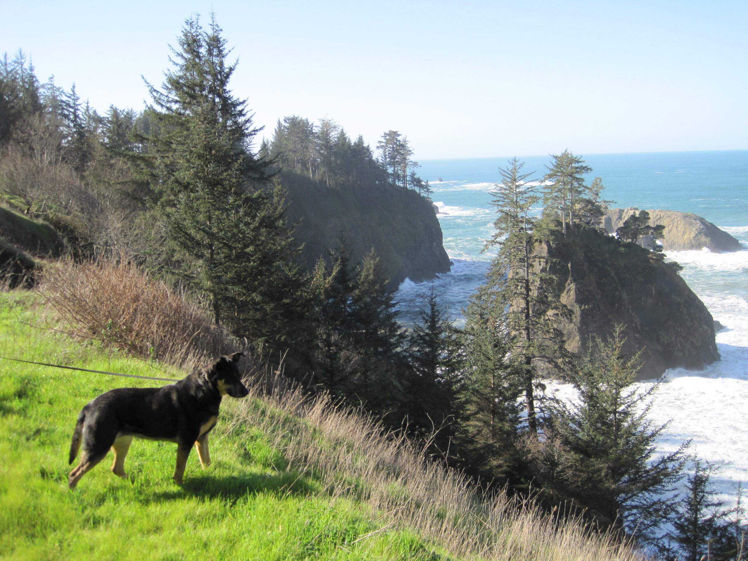 2010-02-27 (19)