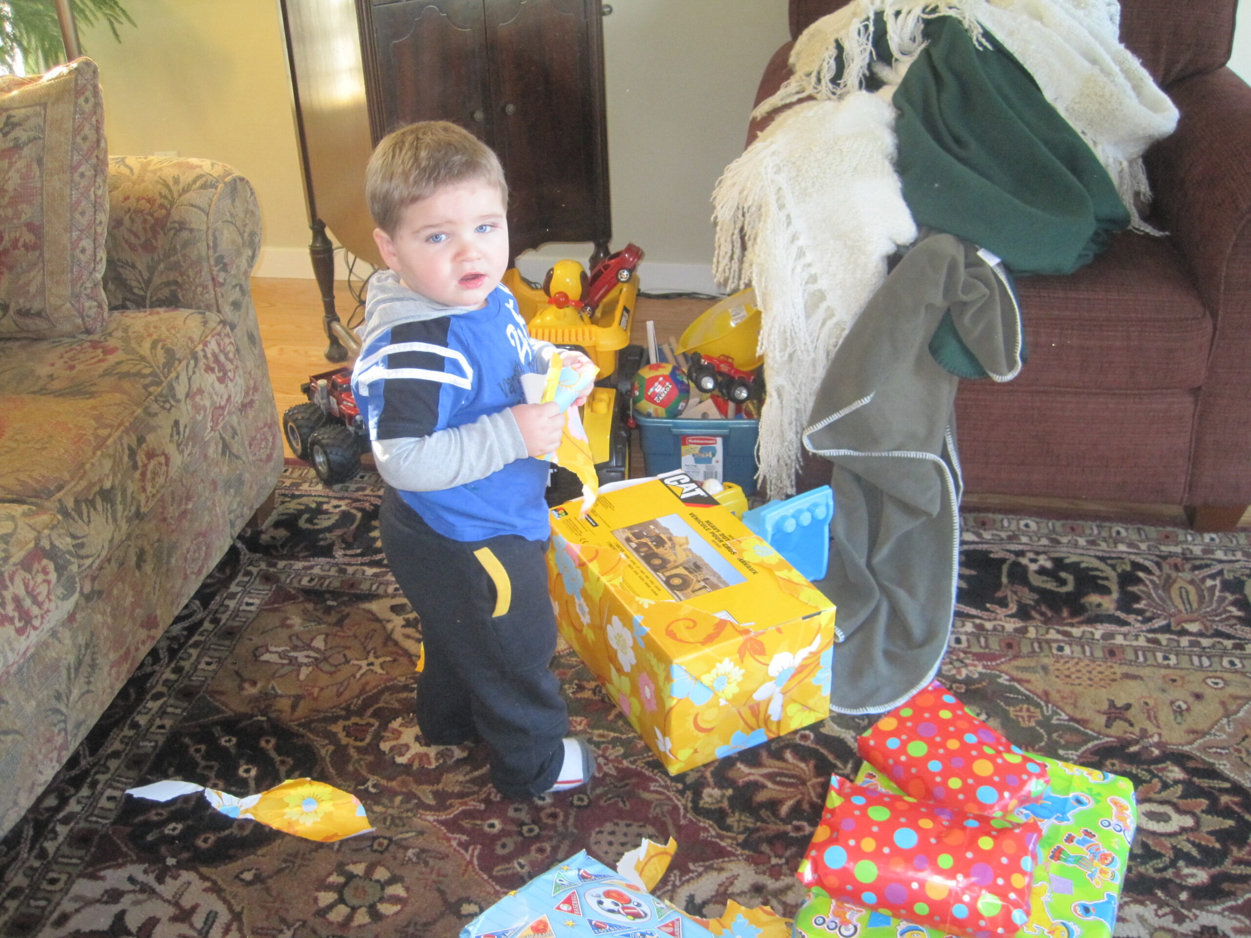 2010-11-28 (2)