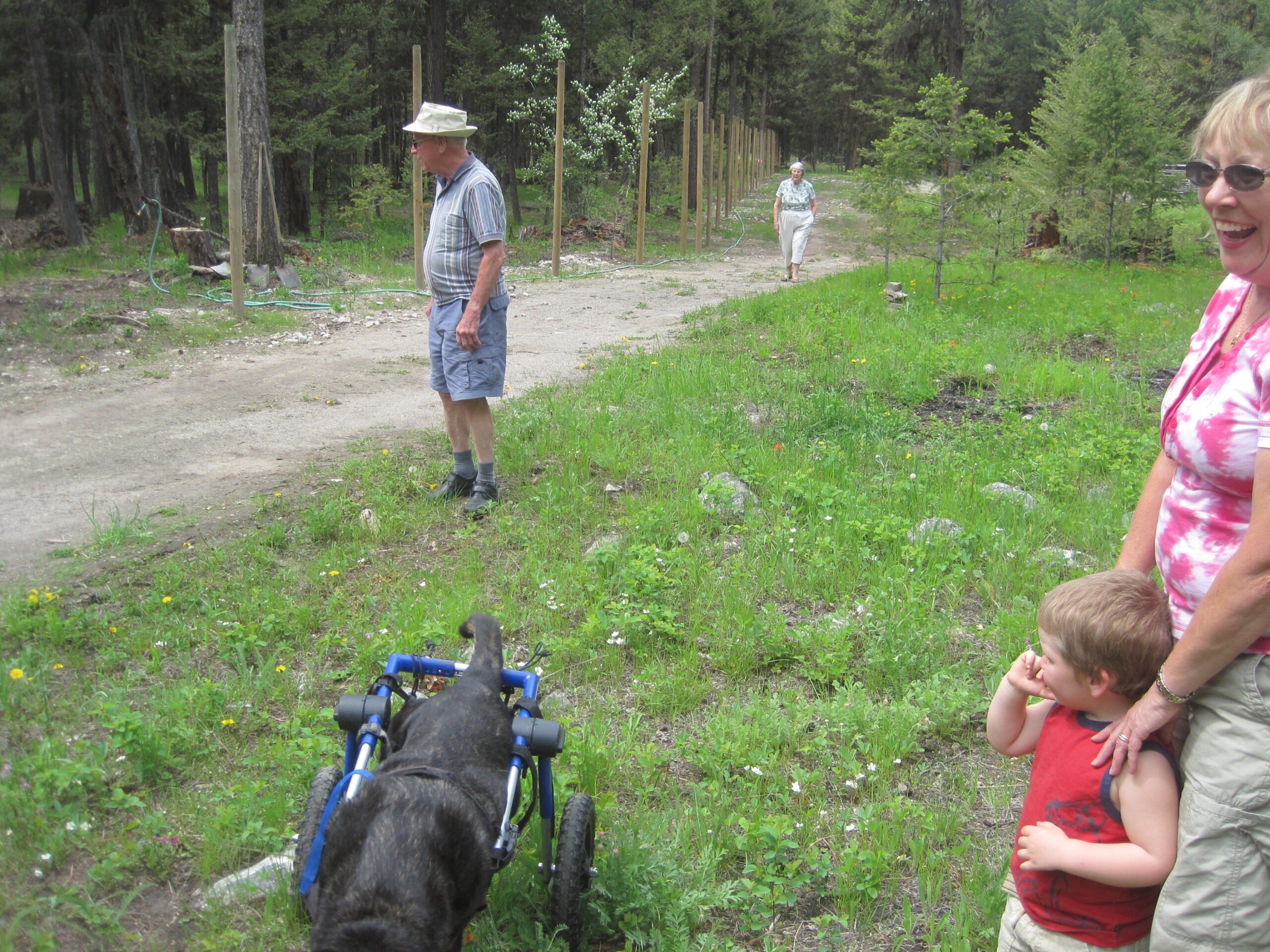 2011-06-06 (2)
