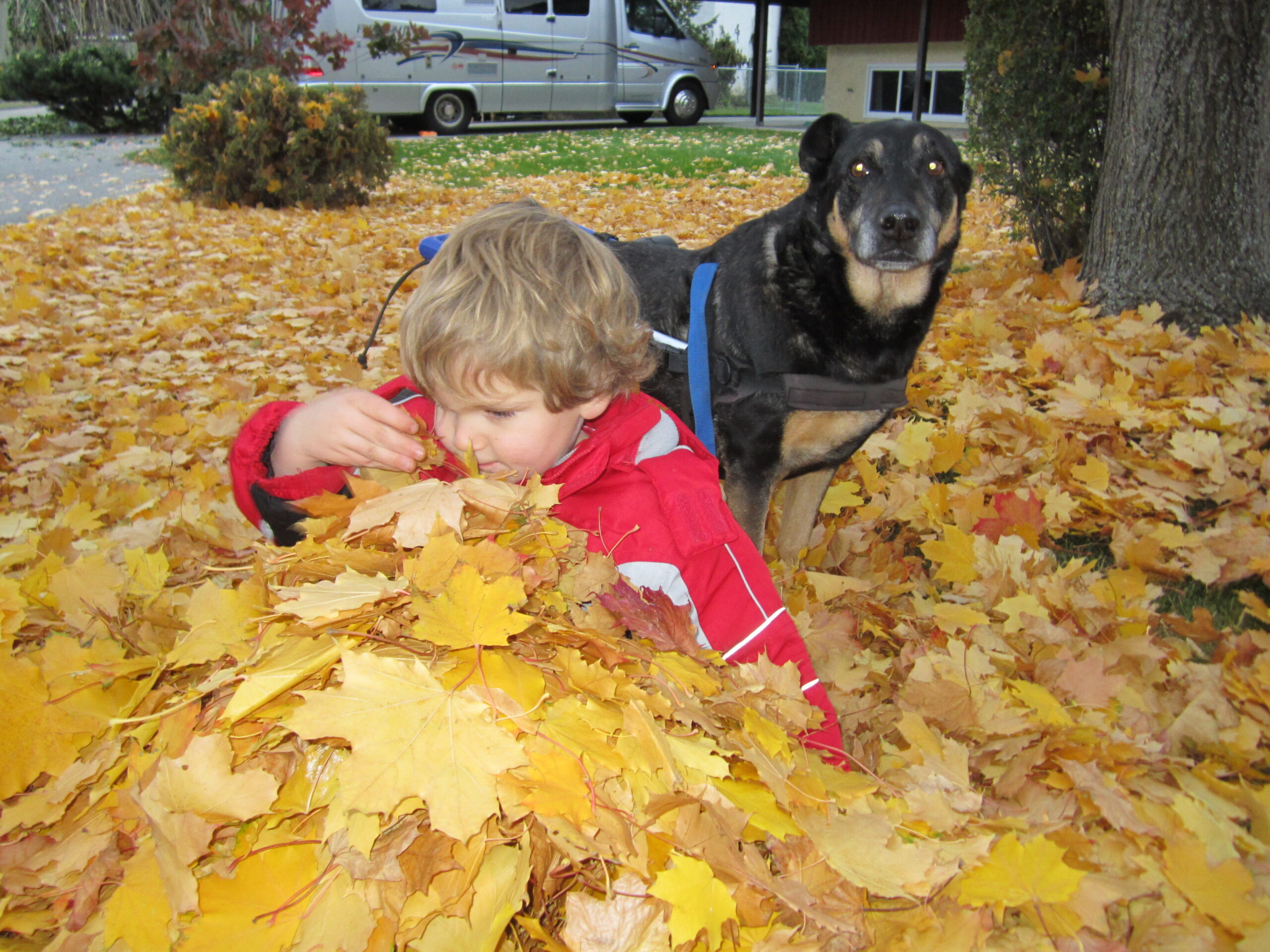 2011-10-26 (11)