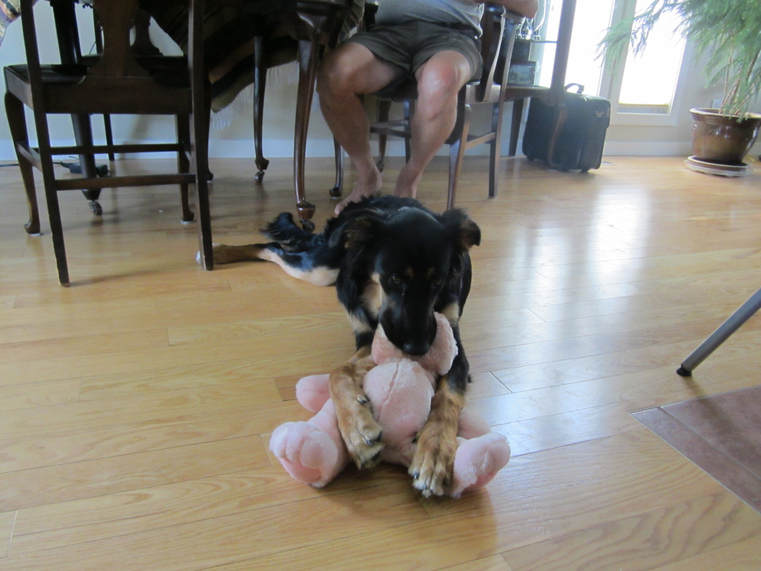 2012-08-13 (3)