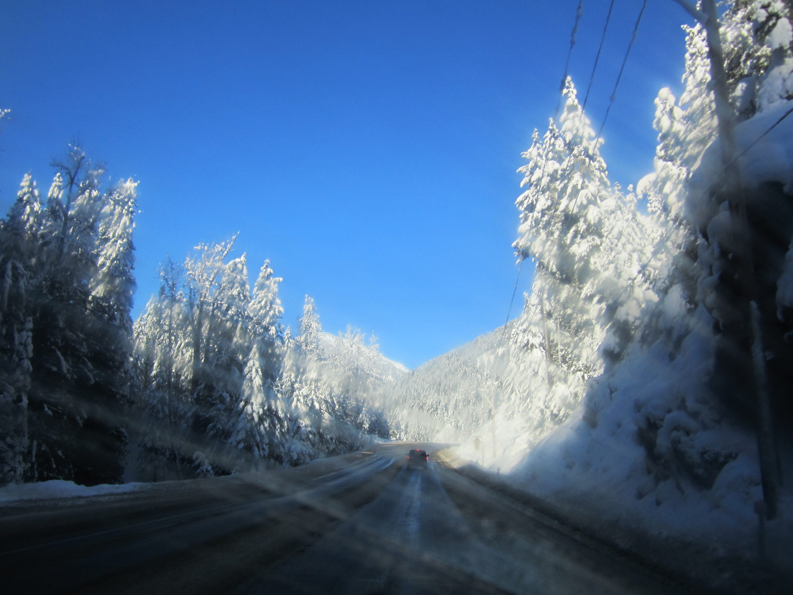 2012-12-30 (10)
