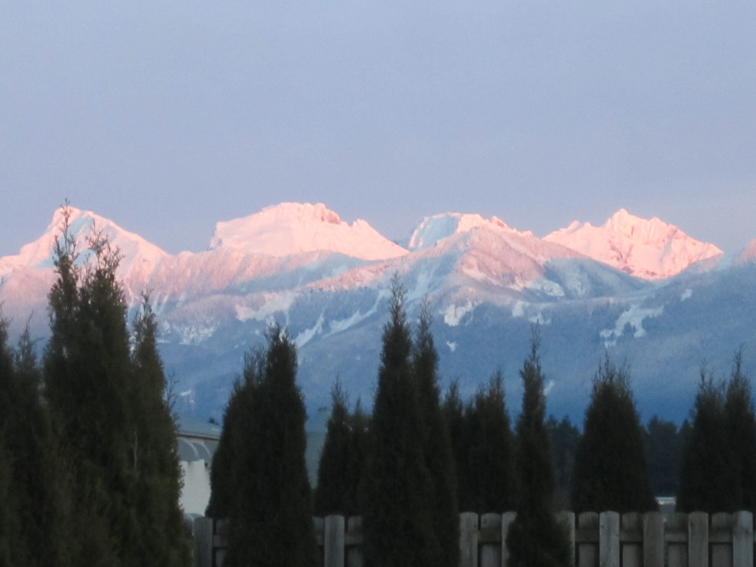 2012-12-30 (14)