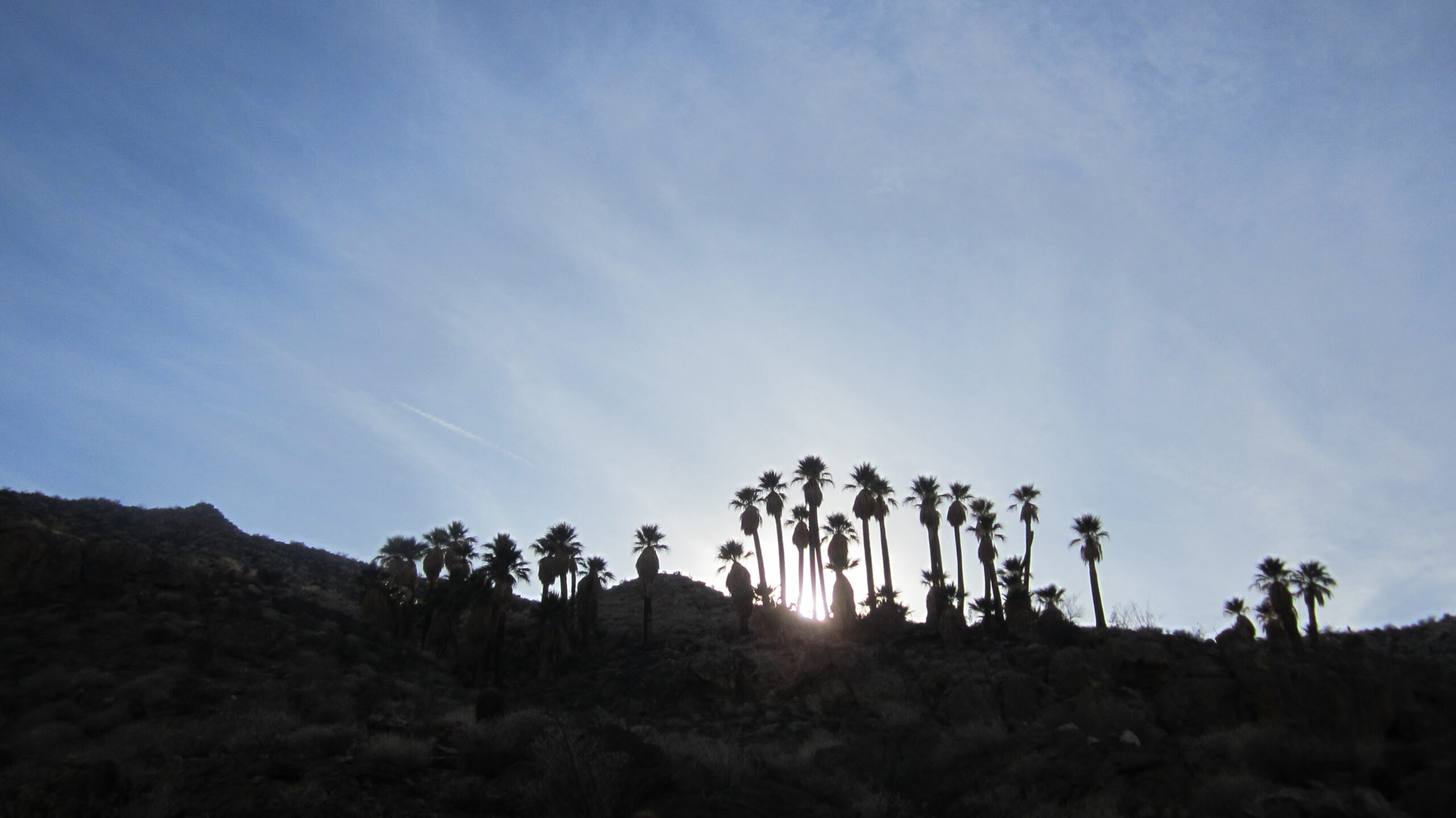 2013-01-29 (17)
