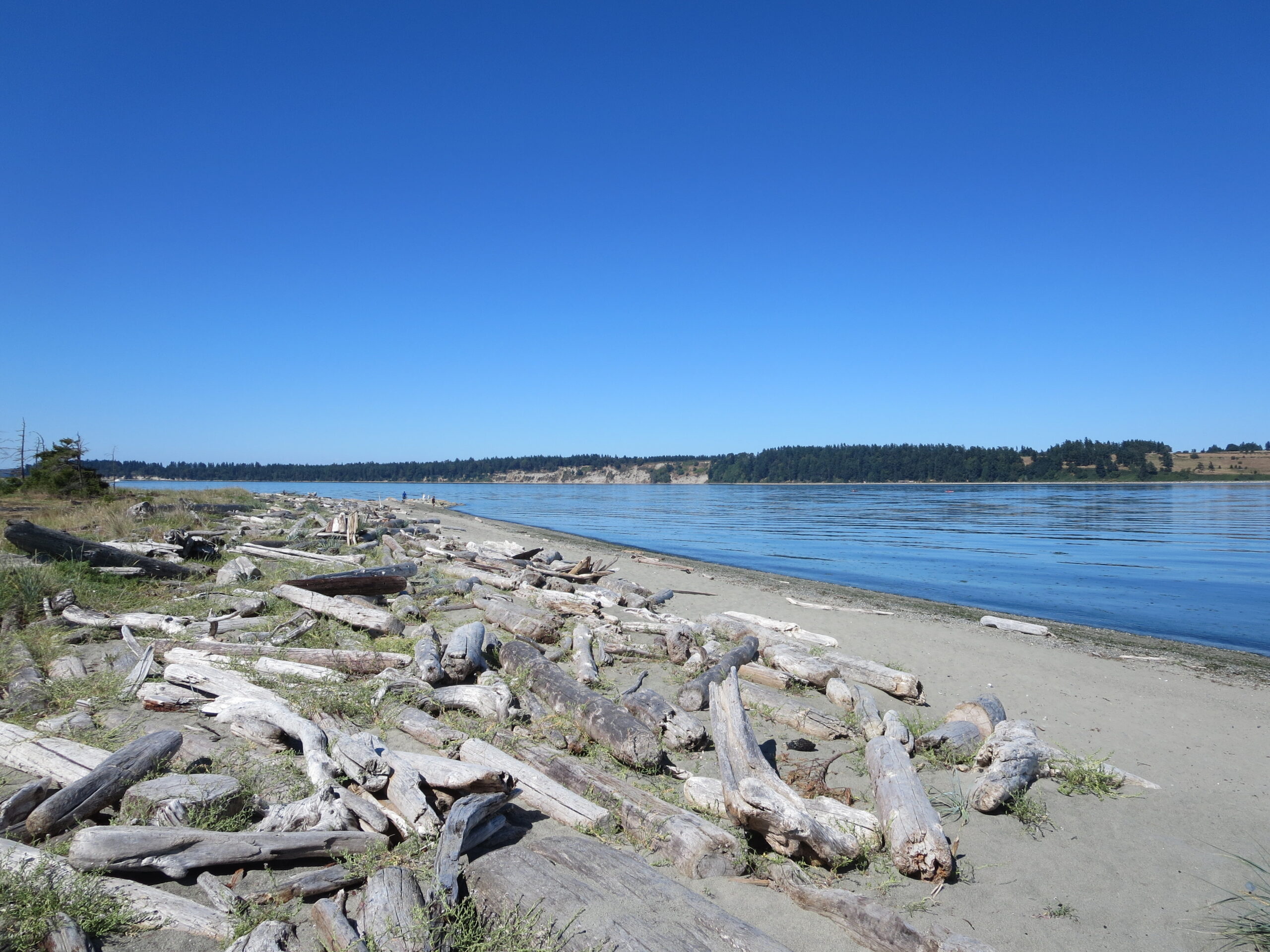 2015-07-01 (14) - Copy